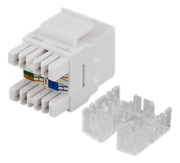 Cat6 Keystone, Hvid Tool-free