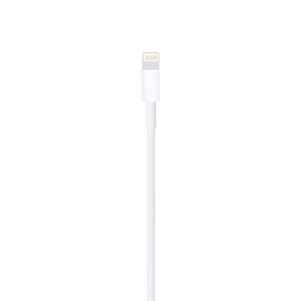 Apple Lightning til USB-kabel (1 m)