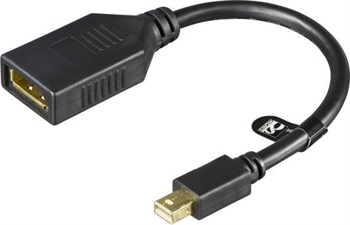 DisplayPort til Mini DisplayPort adapter, sort
